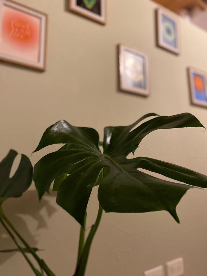 Apartment Subotanico Poblado, *